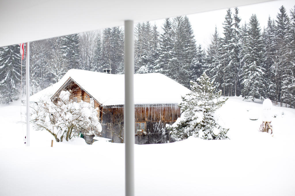 Chalet Bergoase ハスリベルク エクステリア 写真
